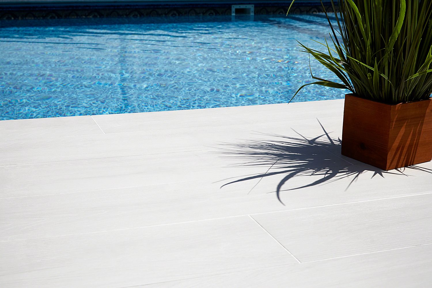 A close-up view of a poolside area with light-colored, wooden look deck tiles. A tall, green potted plant in a wooden planter casts a shadow on the deck, with the clear blue water of the pool in the background—a serene oasis crafted by a licensed concrete contractor in Palm Beach County.