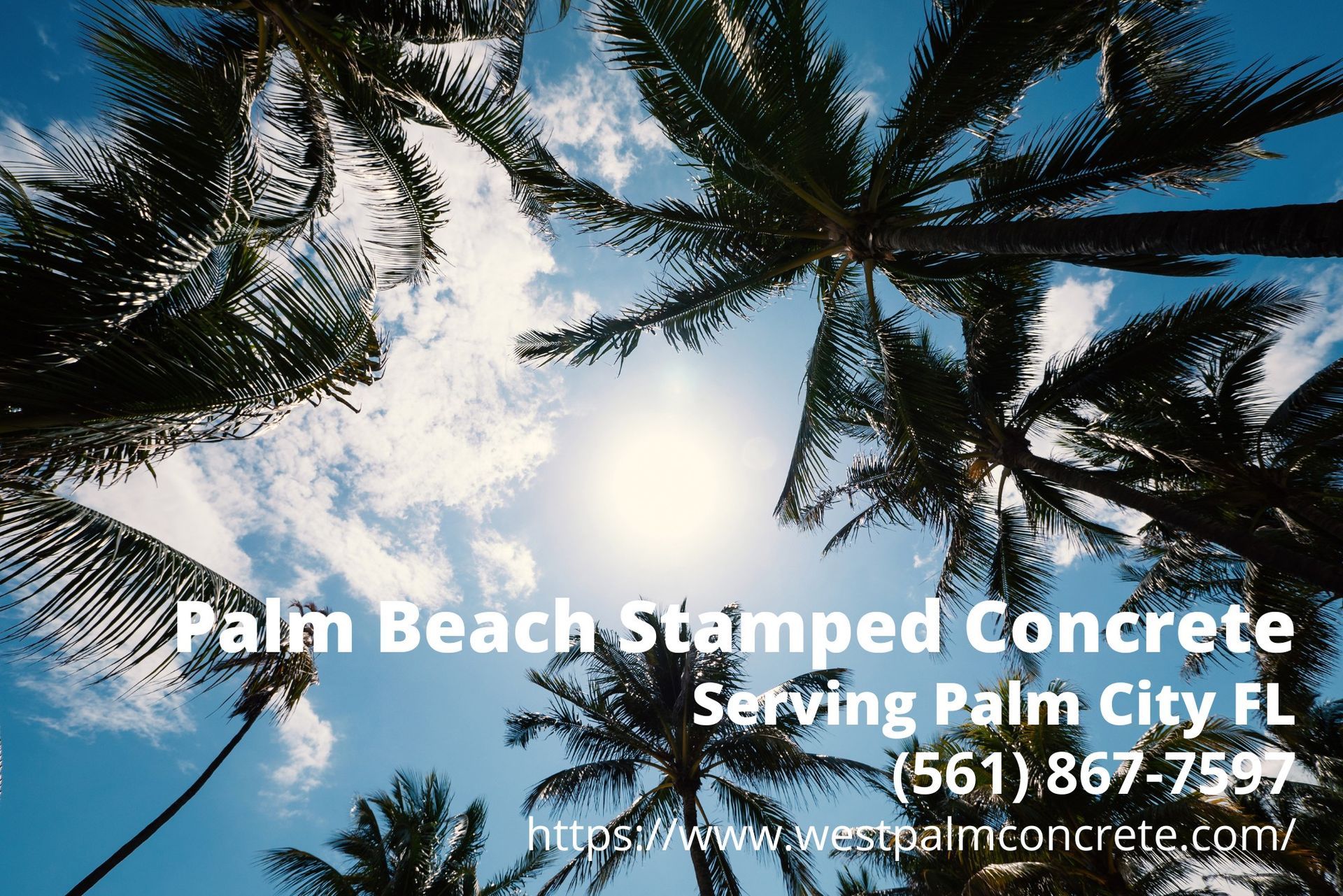 Palm City, FL palms. Text by Palm Beach Stamped Concrete - a decorative concrete company serving Palm City FL